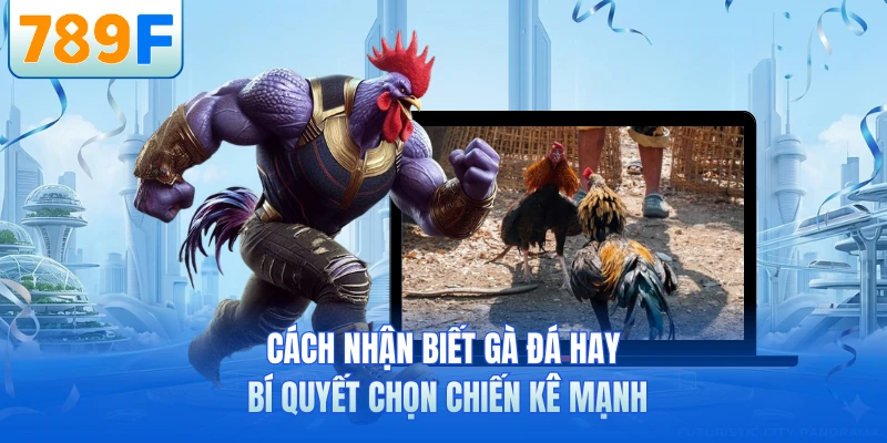 Mẹo Chơi 789F - Bí Quyết Cá Cược Hiệu Quả Và An Toàn Nhất