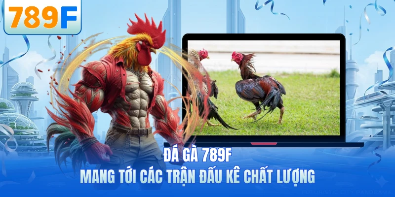 Đá Gà 789F - Sảnh Cược Chọi Kê Trực Tuyến Thú Vị Nhất