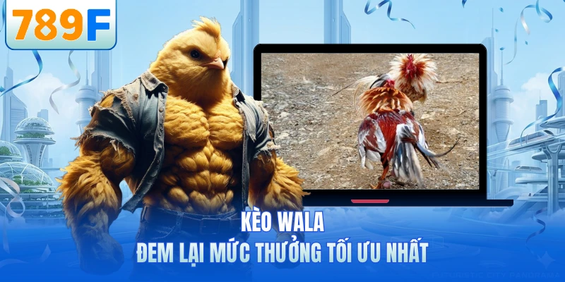 Đá Gà 789F - Sảnh Cược Chọi Kê Trực Tuyến Thú Vị Nhất