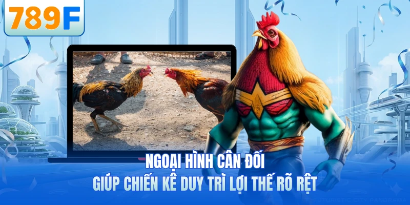 Cách Nhận Biết Gà Đá Hay - Bí Quyết Chọn Chiến Kê Mạnh
