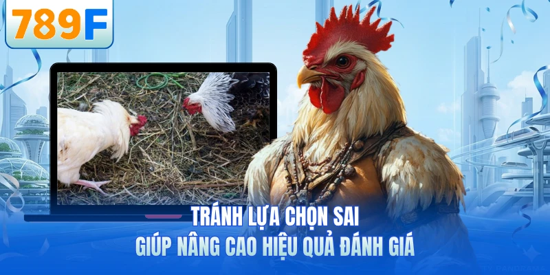 Cách Nhận Biết Gà Đá Hay - Bí Quyết Chọn Chiến Kê Mạnh